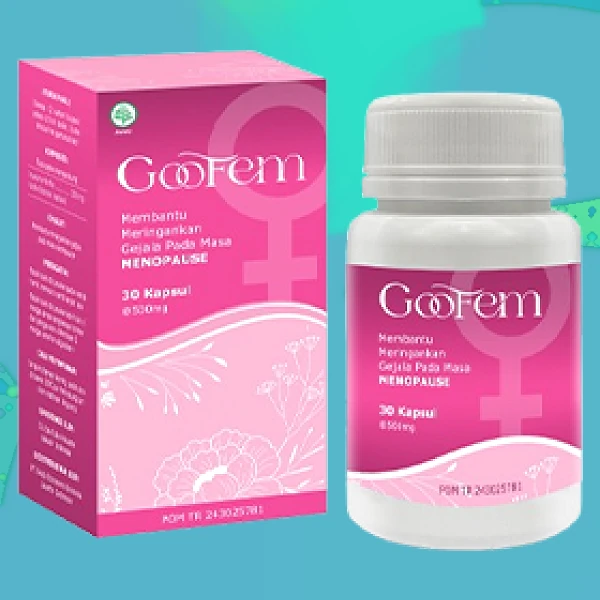 GOOFEM