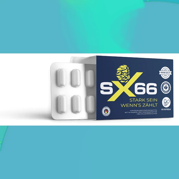 SX 66